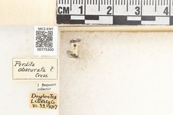 Media type: image;   Entomology 775300 Aspect: Labels